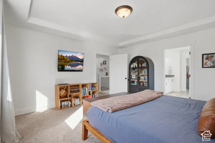 Tray ceiling, wall-mounted television, built-in shelving, flush-mount lighting, and neutral carpeting