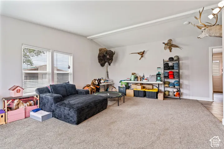 9215 N Hwy 125, Leamington, Utah 84638