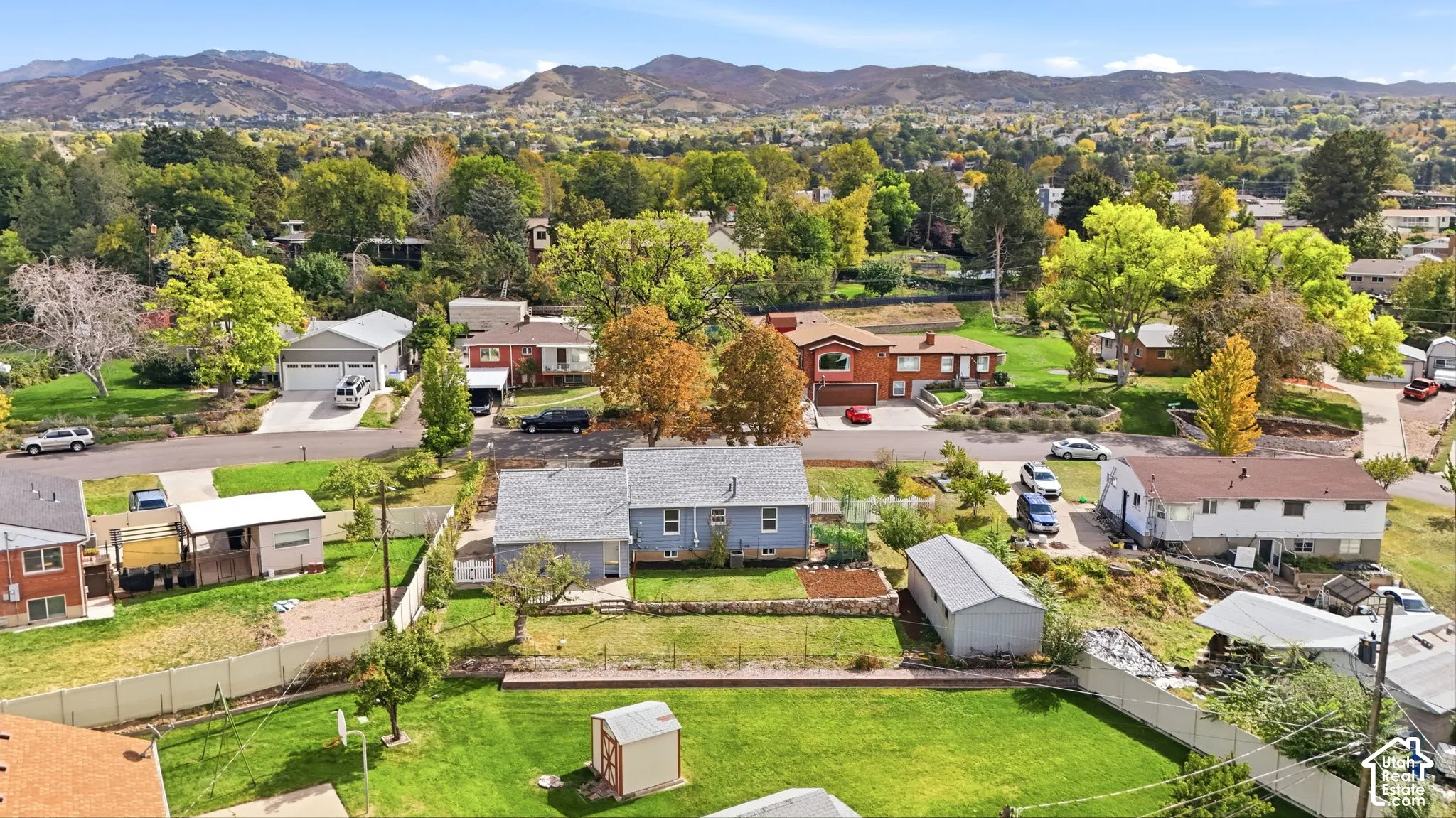 Spacious backyard with a vibrant green lawn, featuring mature trees and a detached shed