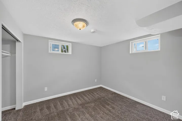 Grey painted walls with white trim, a flush mount ceiling light, and brown carpeting