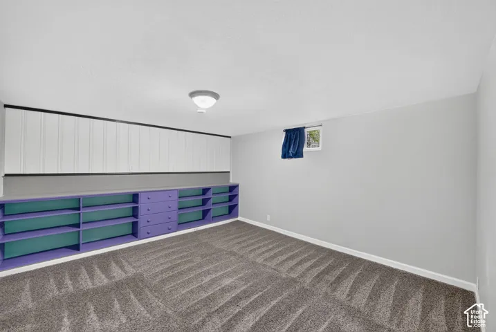 Built-in shelving with drawers, wall-mounted storage cabinetry, wall-to-wall carpeting, and a flush-mount ceiling light fixture