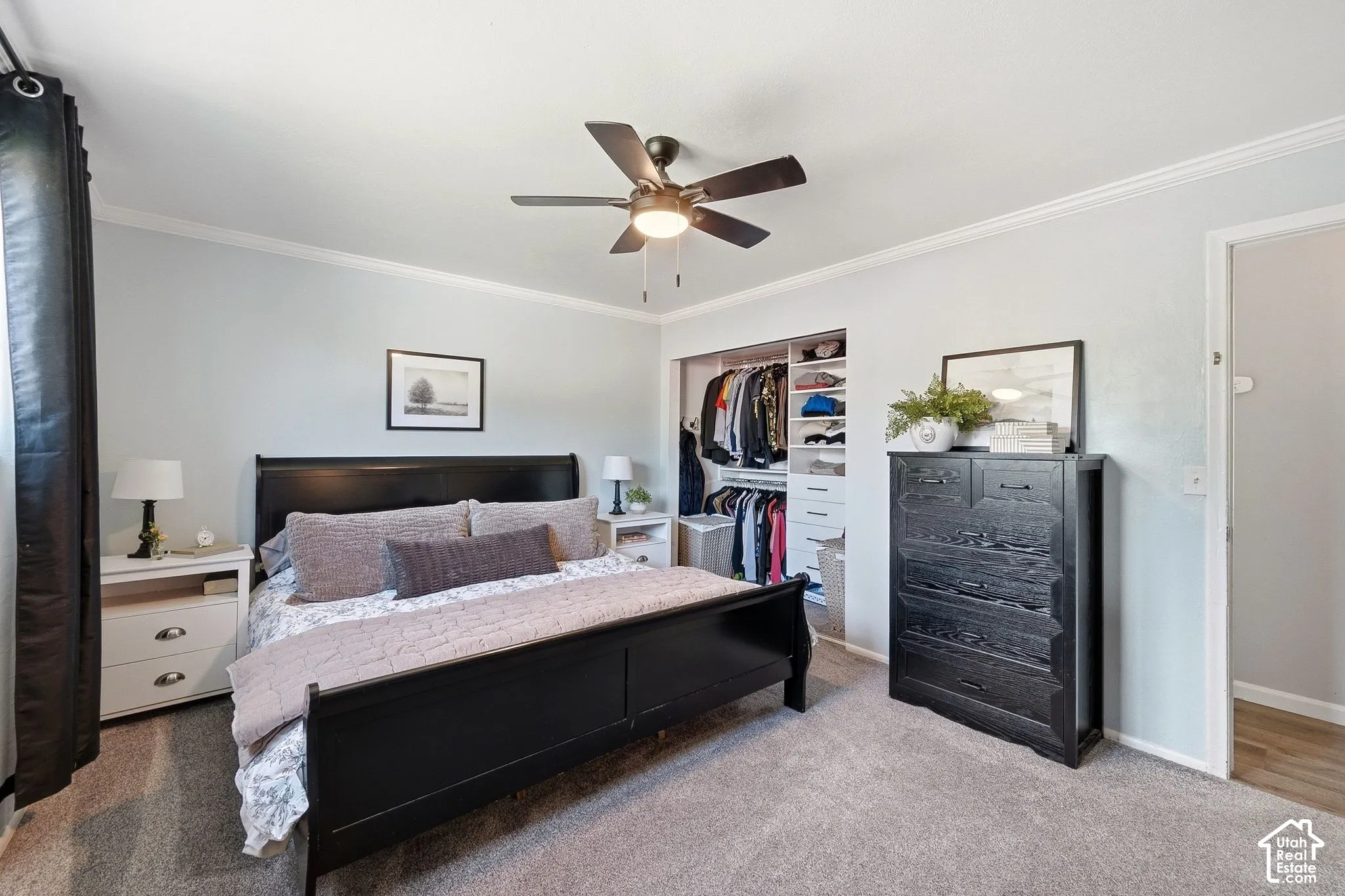 Recessed open closet with built-in shelving, ceiling fan with light fixture, light gray wall paint, and crown molding
