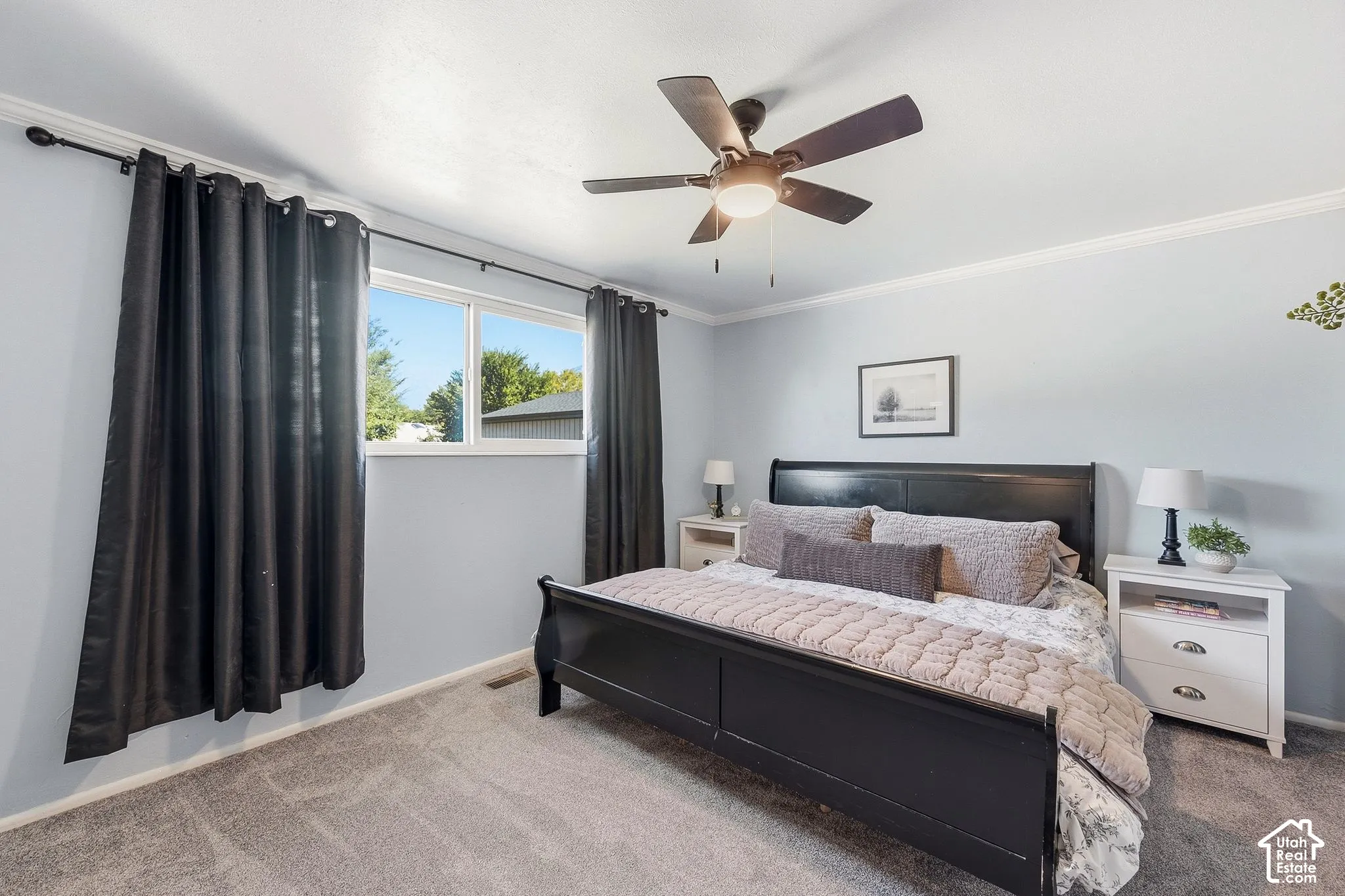 Ceiling fan with integrated lighting, crown molding, double-pane window, and carpet flooring