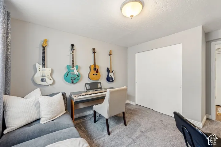 Wall-to-wall carpeting with light gray walls, featuring a sliding closet door and a ceiling-mounted light fixture