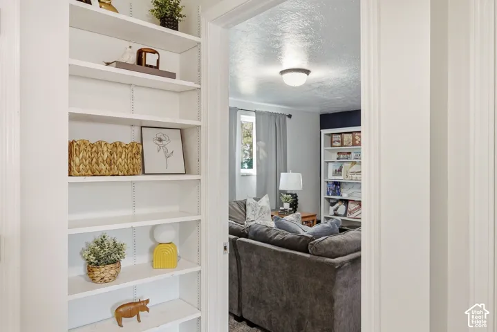 Built-in shelving with adjustable white shelves, recessed entry, and wall-mounted overhead lighting