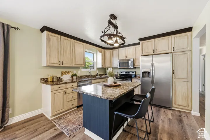 Kitchen featuring wood-finish flooring, an island with countertop, stainless steel appliances, and ample cabinetry