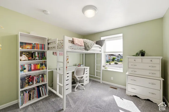Wall-to-wall carpeting and a ceiling-mounted light fixture