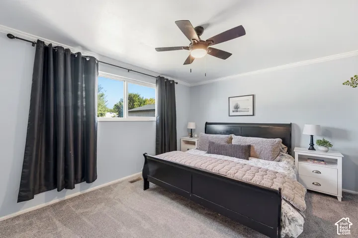 Ceiling fan with integrated lighting, crown molding, double-pane window, and carpet flooring