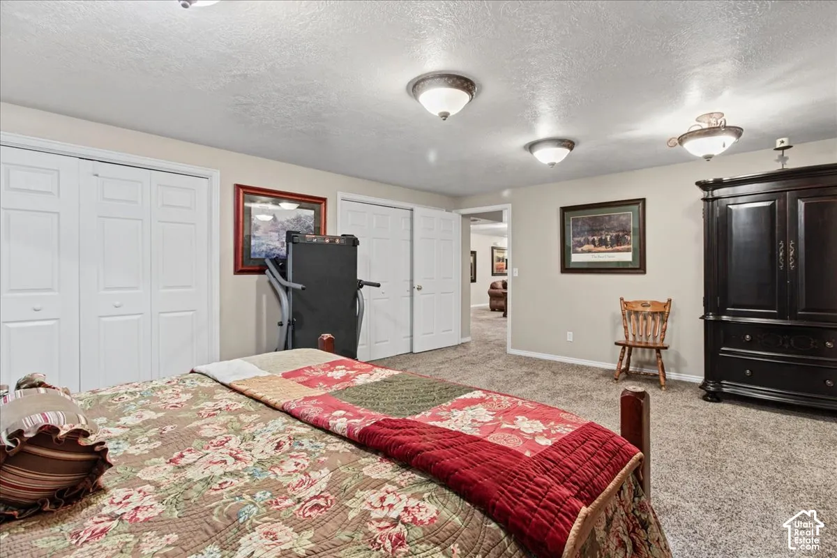 Plush carpeted flooring, neutral wall tones, and multiple ceiling-mounted light fixtures illuminate the space