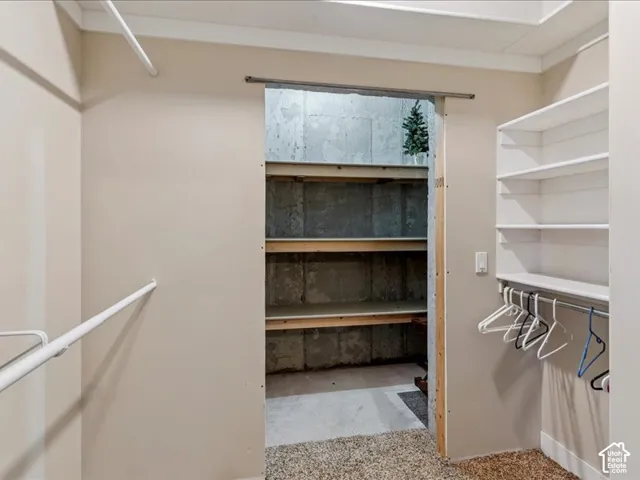 Built-in shelving, hanging rods, and an exposed concrete storage area with wood shelving