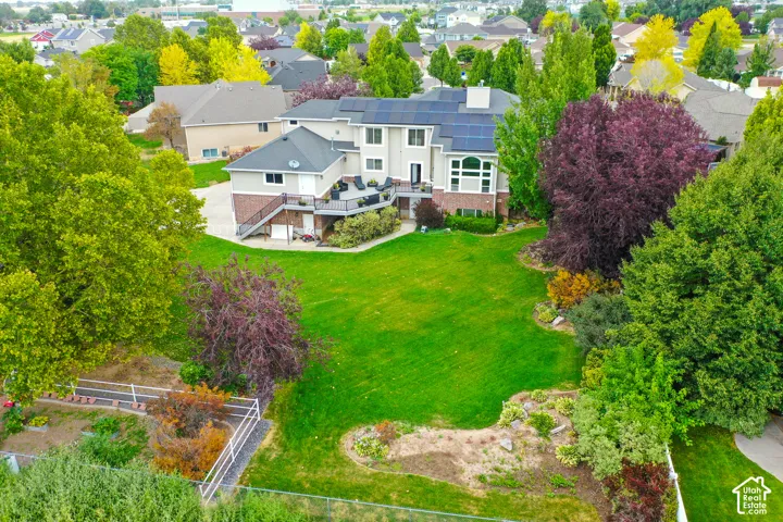 Expansive manicured lawn anchored by mature landscaping, including purple-leaf specimen trees and established evergreens
