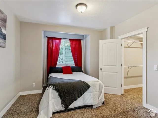 Recessed window with blinds, overhead lighting, neutral wall paint, and carpeted flooring