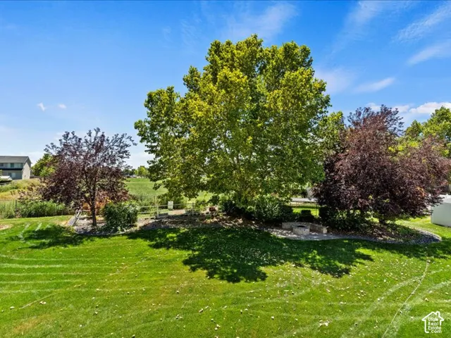 Expansive lawn with mature trees and a stone fire pit area
