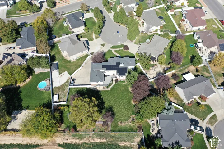 Expansive property featuring a circular driveway, mature trees, and an in-ground swimming pool