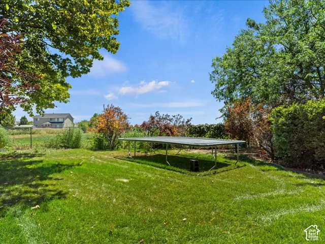 Expansive rear yard featuring green lawn, mature trees, and established shrubbery