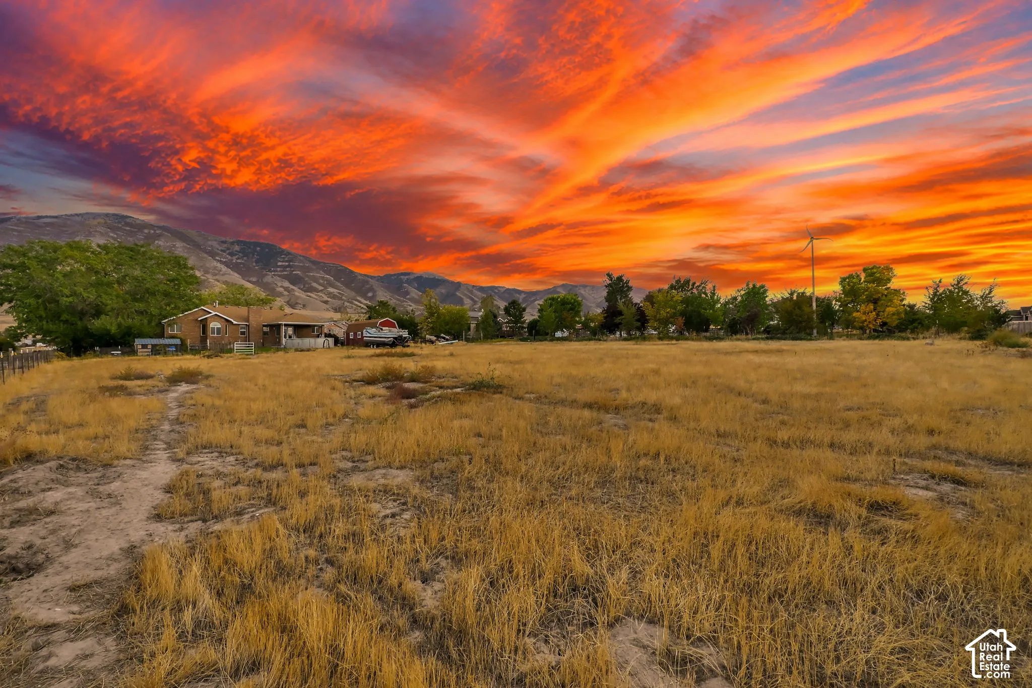Back Side of 1 Acre Lot