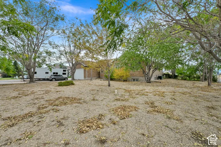 Xeriscape Front Lawn.