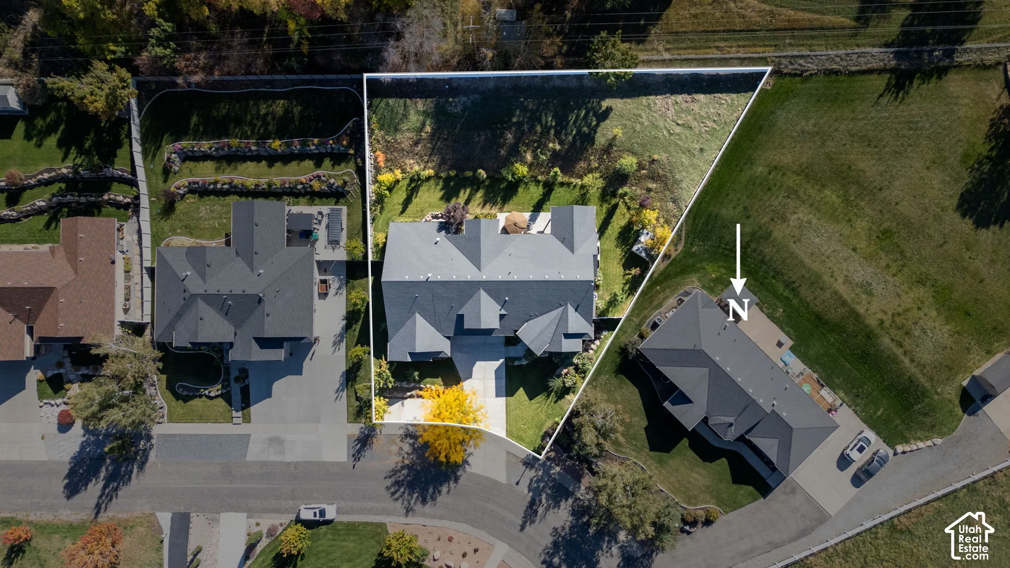 Aerial view showcasing three residential properties with distinctive architectural rooflines, manicured lawns, mature landscaping including specimen trees, and paved driveways
