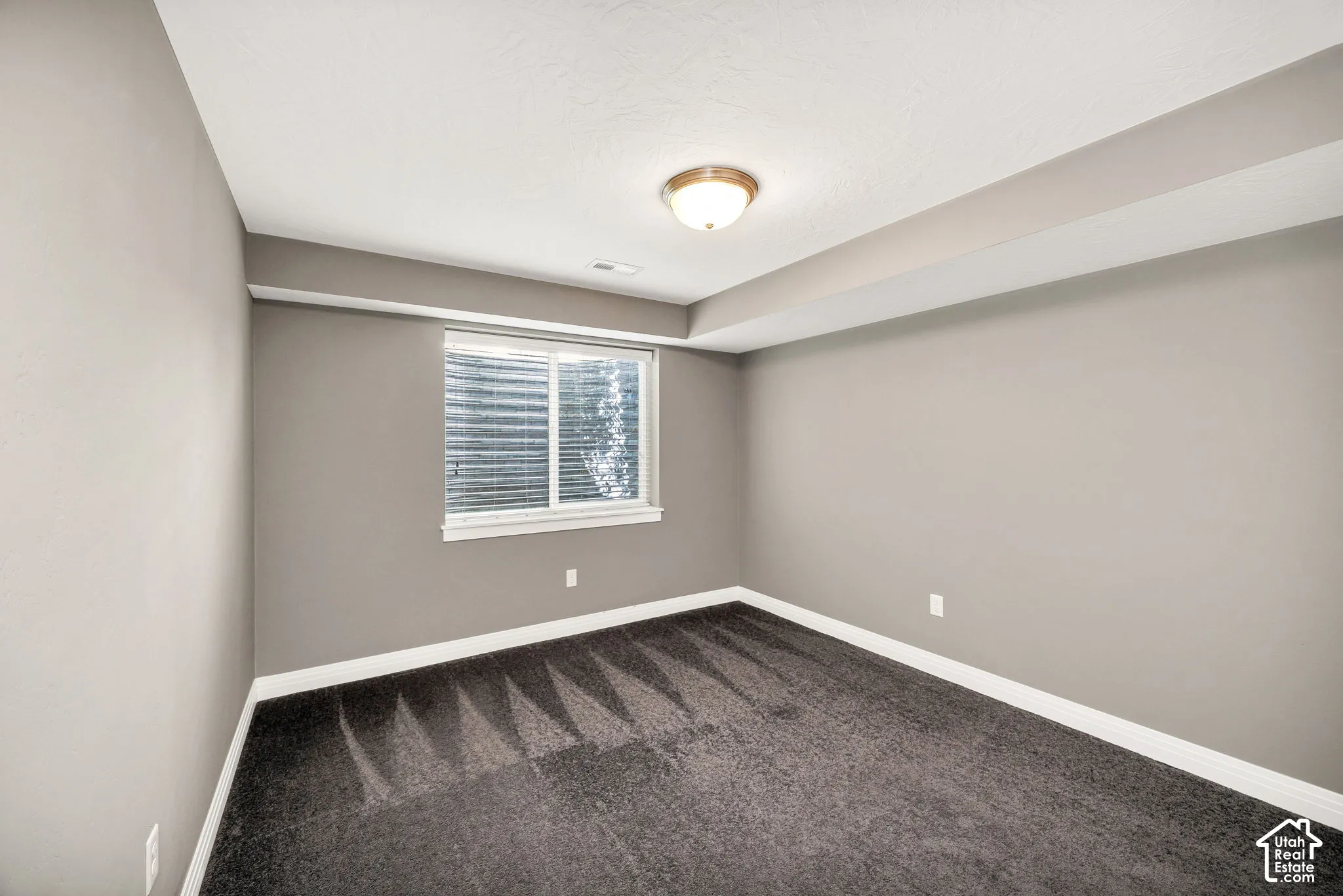 Recessed window with white trim, wall-to-wall carpeting, light-toned walls, and a ceiling-mounted light fixture