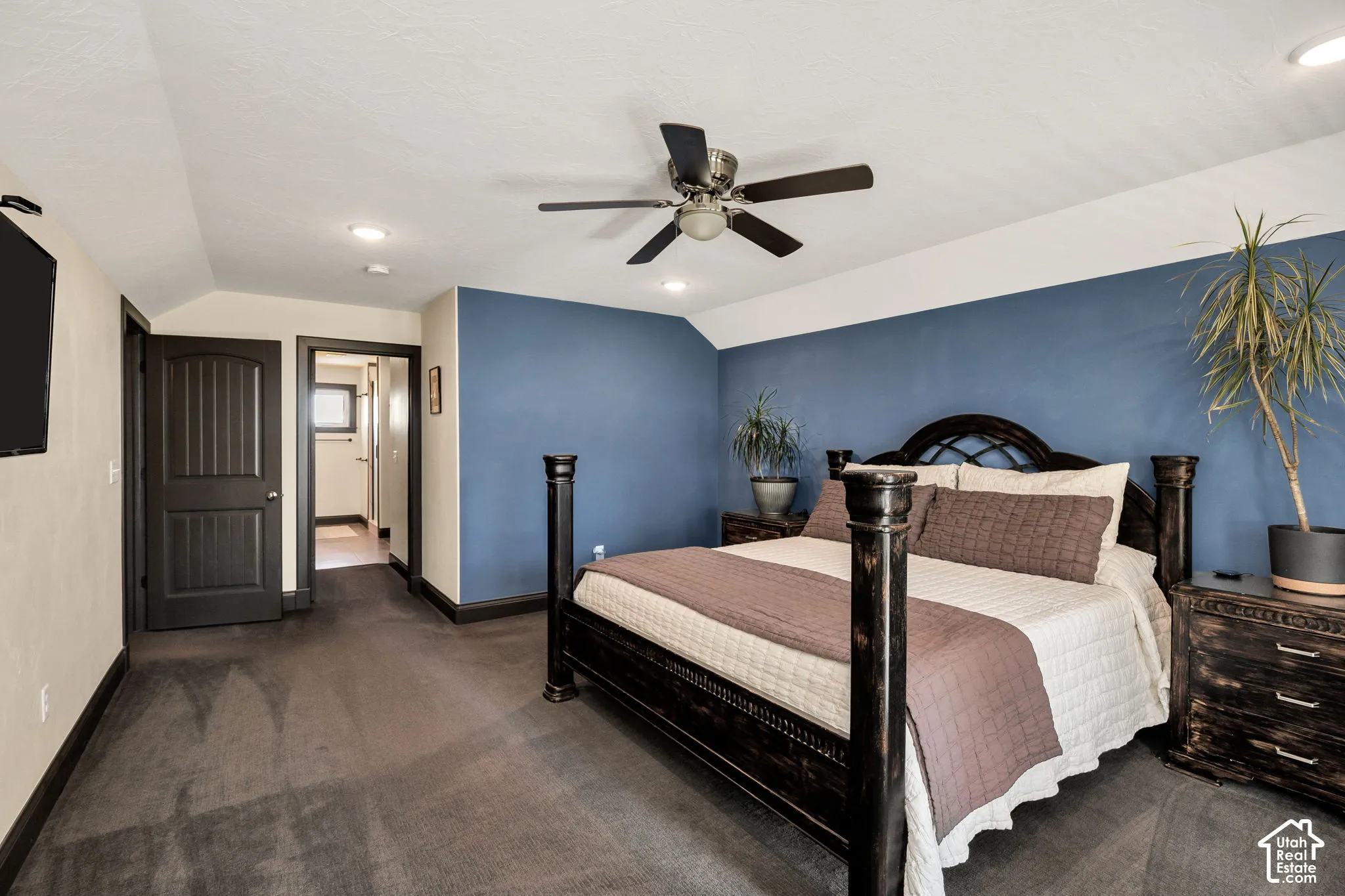 Recessed lighting, ceiling fan, dark wood-finish trim, dark wood-finish interior doors, and plush carpeting