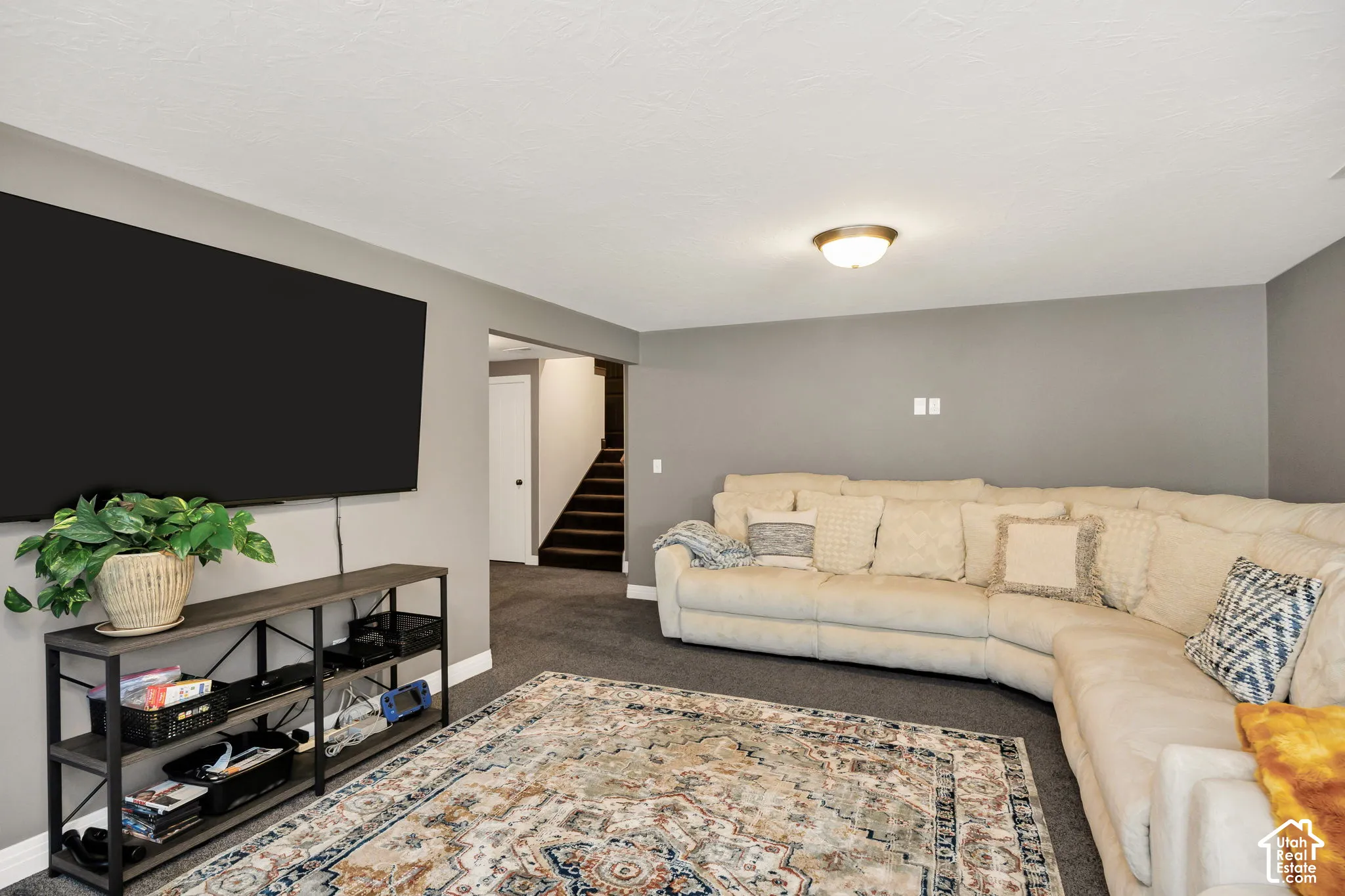 Recessed wall-mounted television, dark-tone carpeting, and a flush-mount ceiling light fixture
