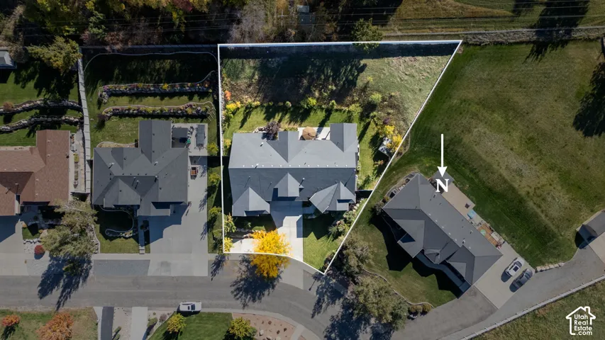 Aerial view showcasing three residential properties with distinctive architectural rooflines, manicured lawns, mature landscaping including specimen trees, and paved driveways