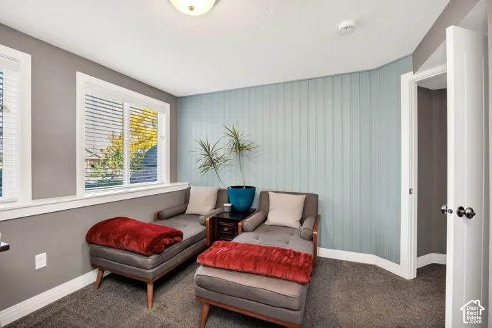 Versatile bonus room featuring soft blue vertical shiplap accent wall, large multi-pane windows with natural light, gray carpeting, white trim detailing, and a white six-panel closet door