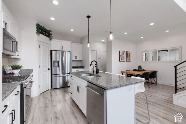 White cabinetry with black hardware, wood-finish flooring, recessed lighting, and stainless steel appliances
