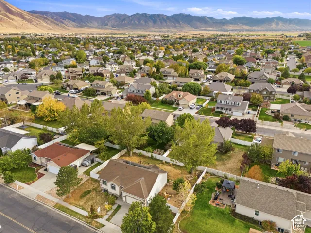 Residential neighborhood with established streets and mature trees