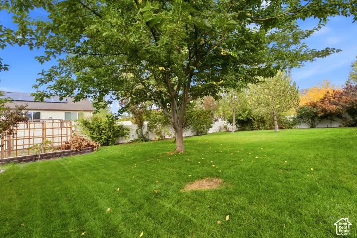Expansive lawn featuring mature trees and a privacy fence