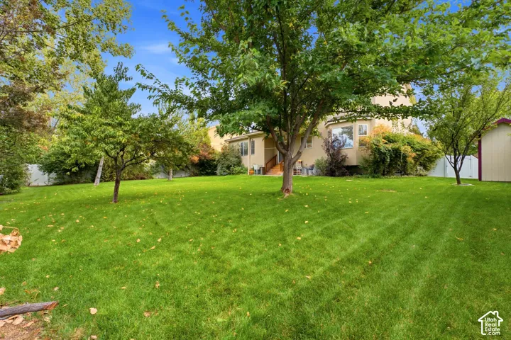 Expansive green lawn with mature trees and a rear house elevation featuring a bay window