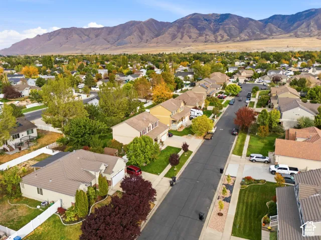 Residential street featuring mature landscaping and mountain scenery