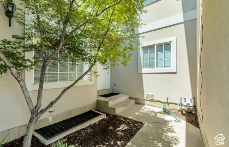 Exterior entrance featuring a mature tree, concrete steps, and a window well with a grate