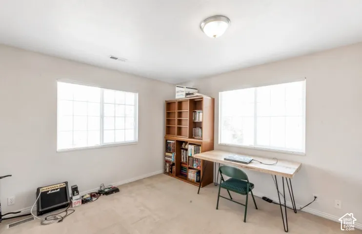 Neutral wall paint, plush carpeting, dual pane windows with grilles, and a flush-mount ceiling light