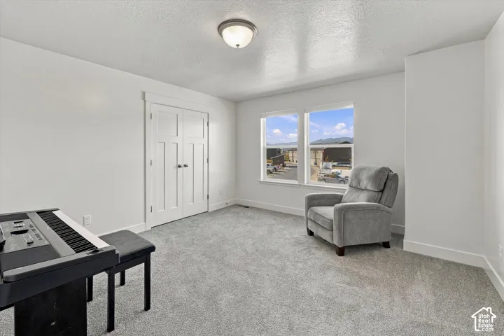 Plush gray carpeting, white painted walls, and white trim throughout