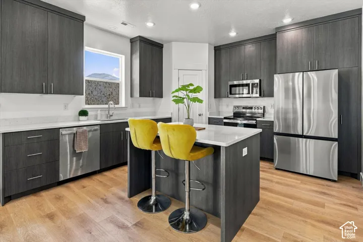 Modern kitchen featuring wood-finish flooring, stainless steel appliances, dark wood-finish cabinetry, a central island with a white countertop, and recessed lighting