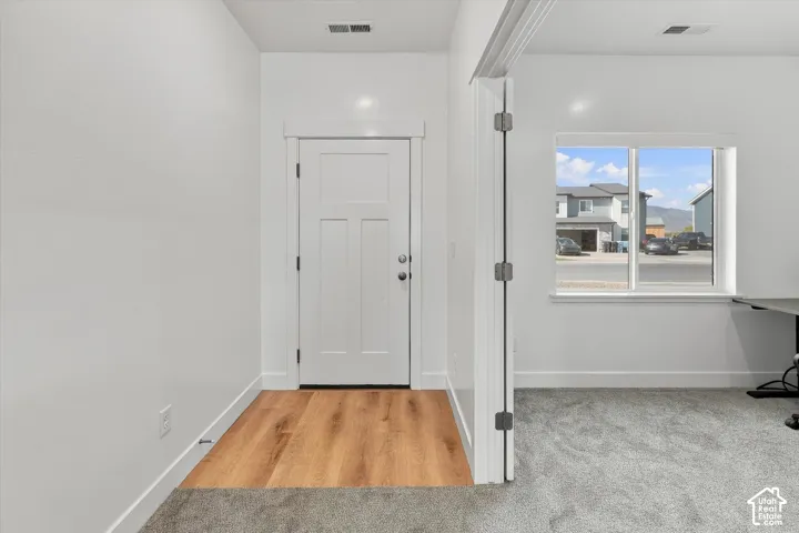Wood-finish flooring at entry, white paneled door, large window with natural light, white trim throughout, and plush carpet