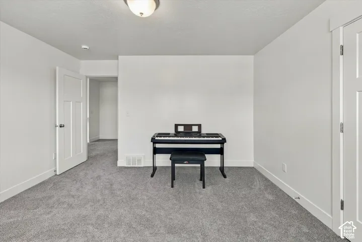 Neutral wall color, plush grey carpeting, white trim, recessed lighting, and white panel doors