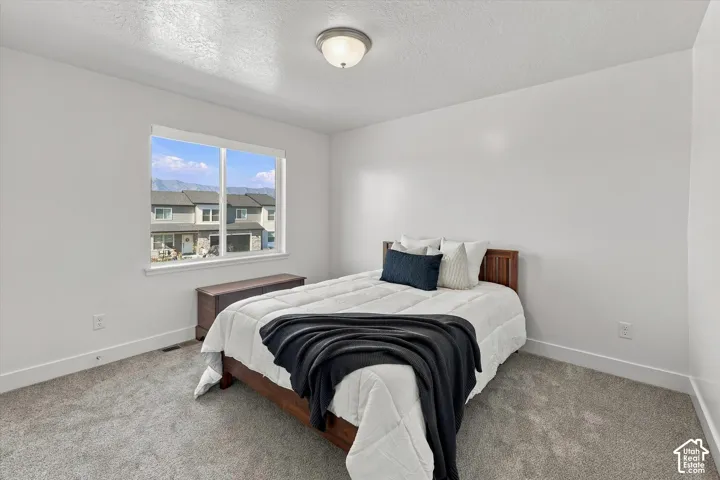 Bright room featuring a prominent window, neutral carpeting, and a ceiling-mounted light fixture