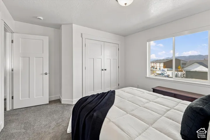 White interior doors, window with mountain scenery, white trim, grey carpet flooring, and a flush mount ceiling light