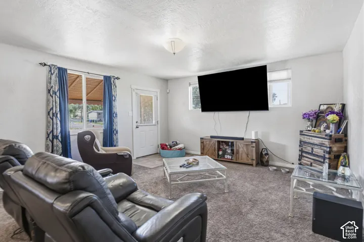 Carpeted flooring throughout, white walls, and a ceiling-mounted light fixture