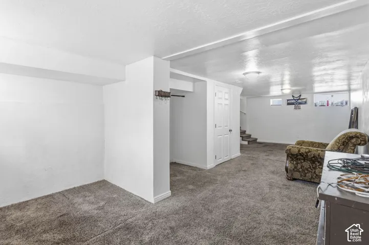 Carpeted flooring, overhead lighting, white painted walls, and built-in closet with hanging rod