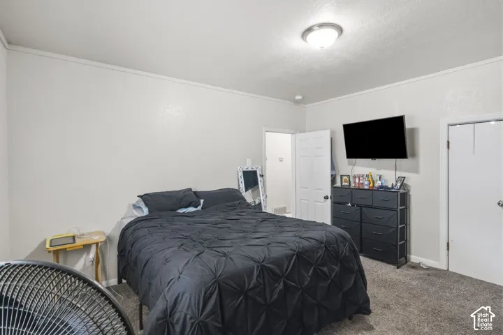 White interior walls with wall-to-wall carpeting and a flush-mount ceiling light fixture