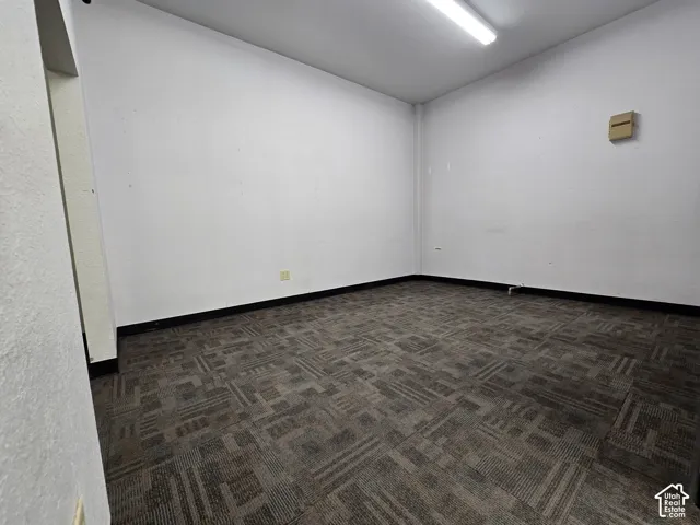 White painted walls, patterned carpet flooring, black trim, and overhead fluorescent lighting