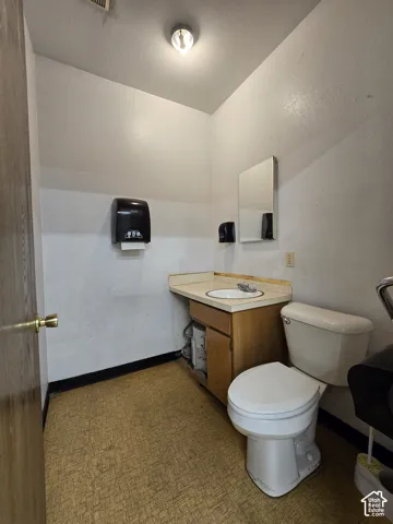 Flush toilet and vanity with integrated sink