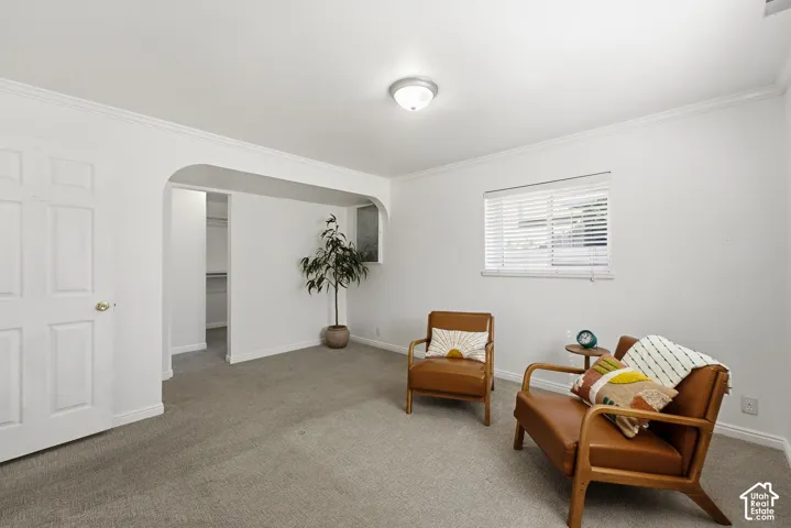 Archway entry, crown molding, double-panel interior door, window with blinds, and ceiling-mounted light fixture