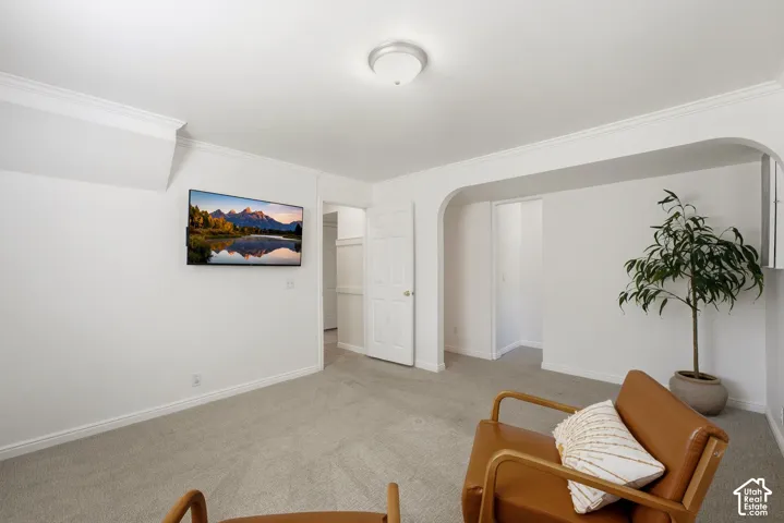 Crown molding, white painted walls, light gray carpet, arched doorway