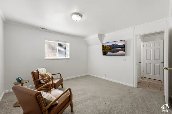 Wall-mounted television, crown molding, light neutral paint, and carpeted flooring