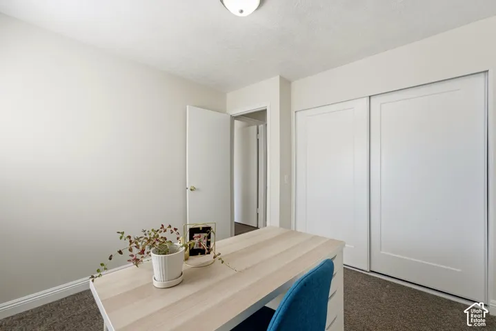 White walls, ceiling-mounted light fixture, sliding closet doors, and carpeted flooring