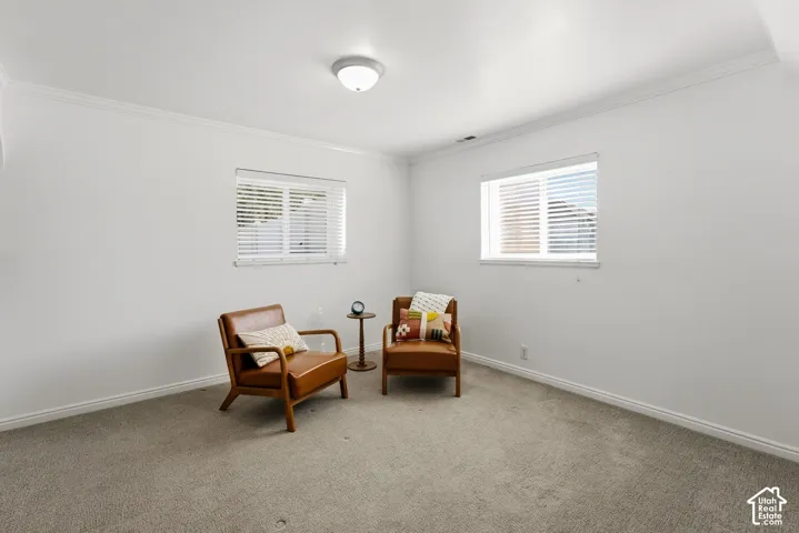 Carpeted room featuring multiple windows with blinds, crown molding, and a flush mount ceiling light